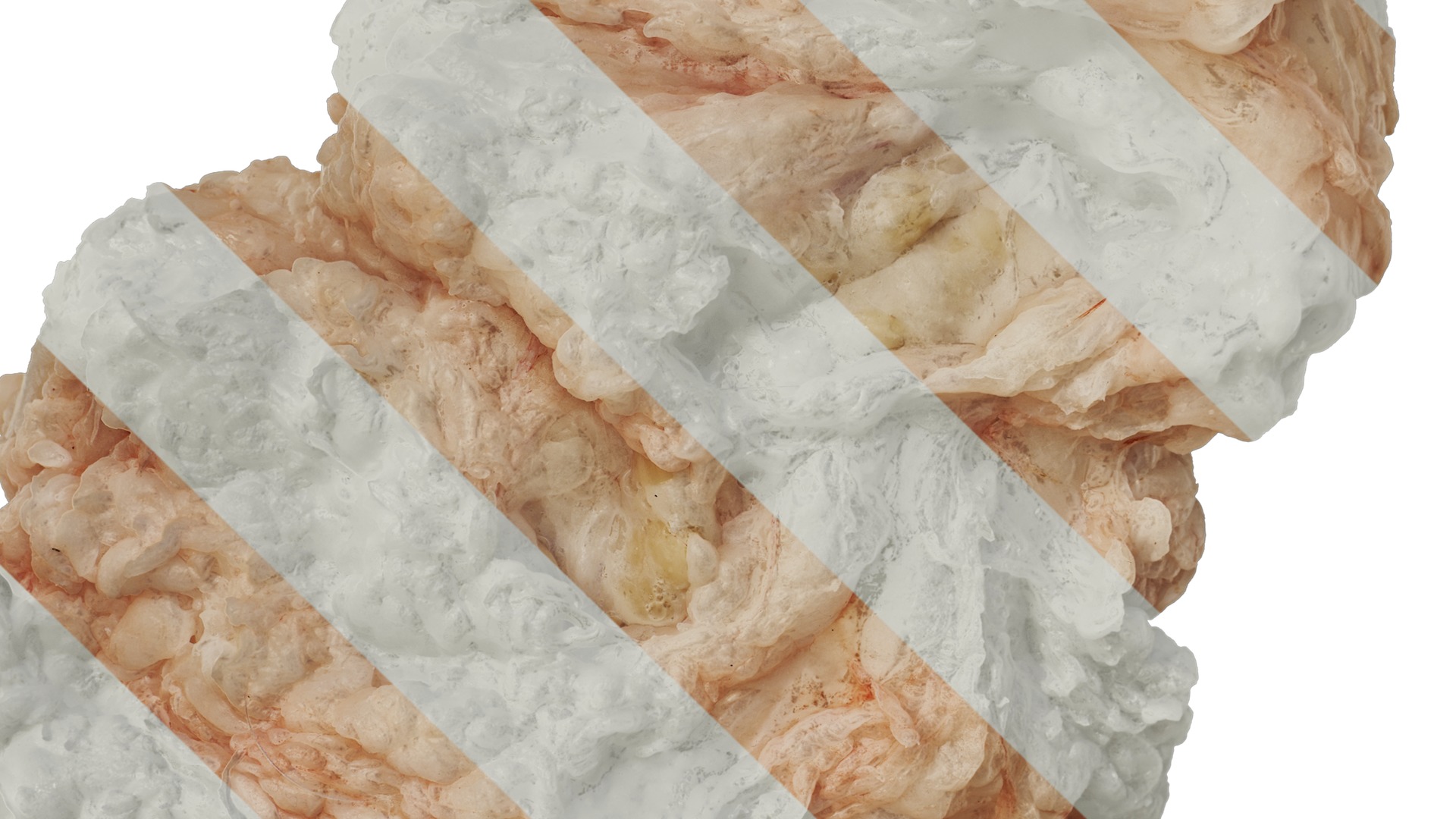 Anydrafts Lymph meat 01 Texture_5