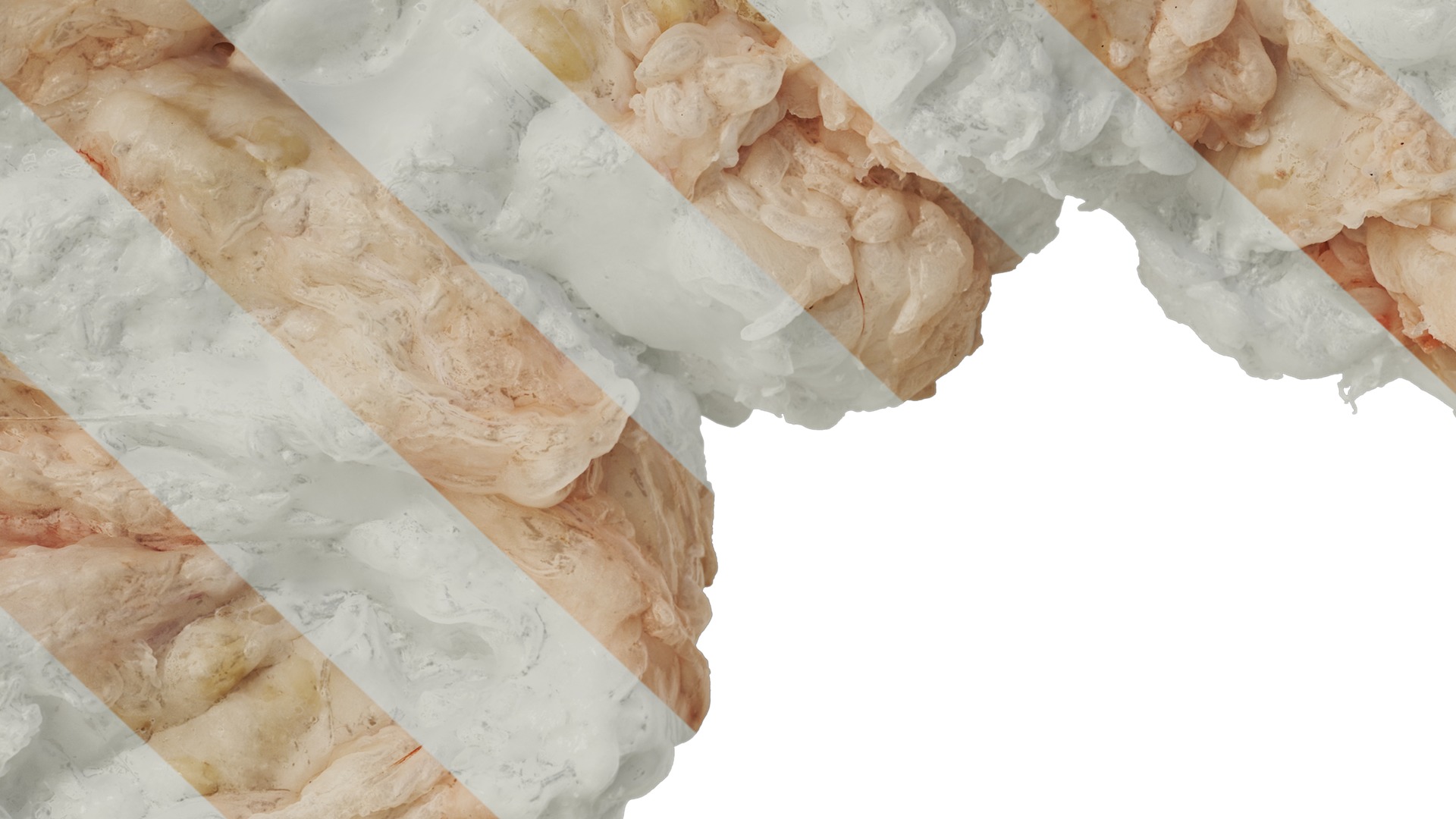 Anydrafts Lymph meat 01 Texture_7