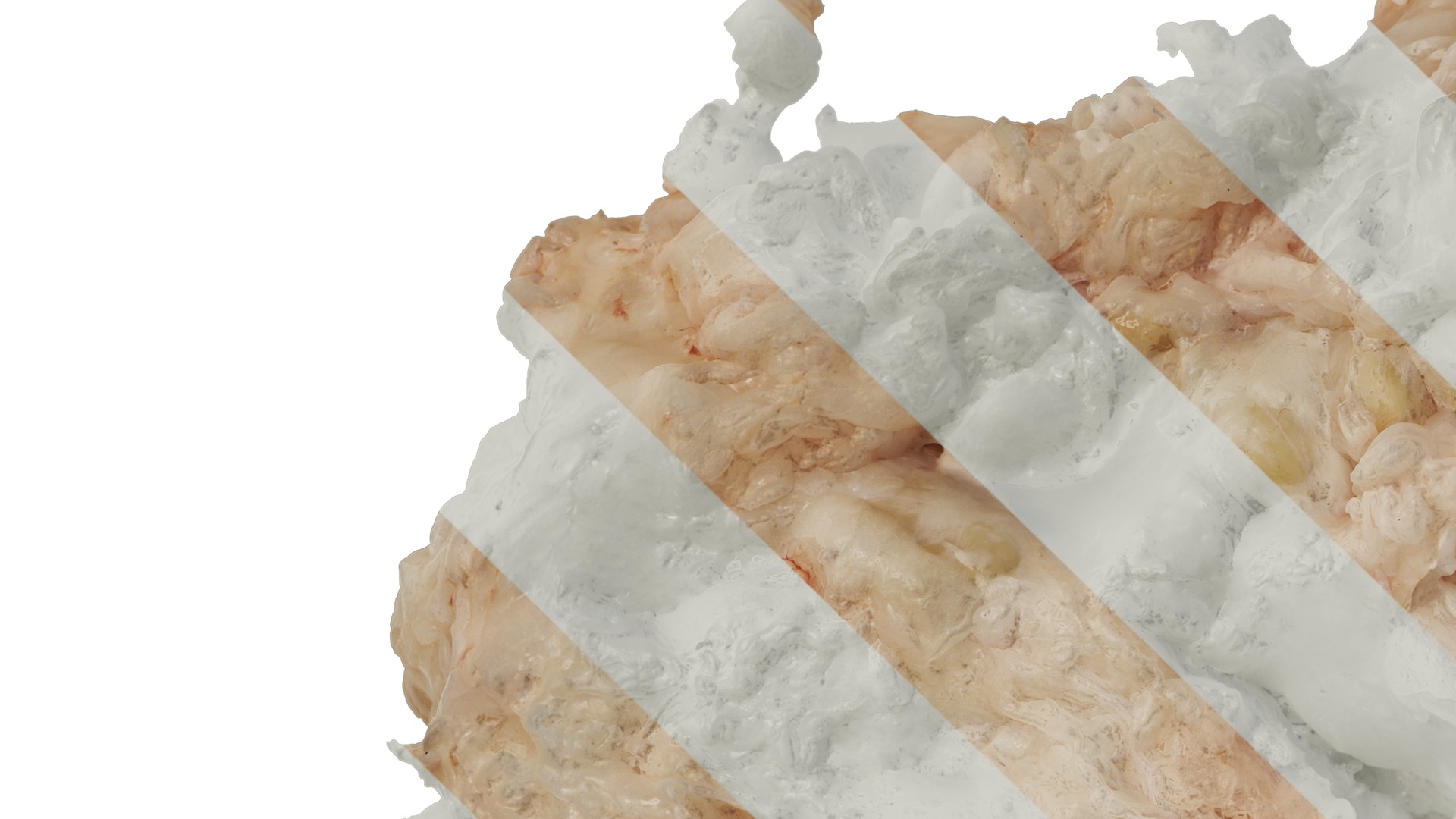 Anydrafts Lymph meat 01 Texture_3