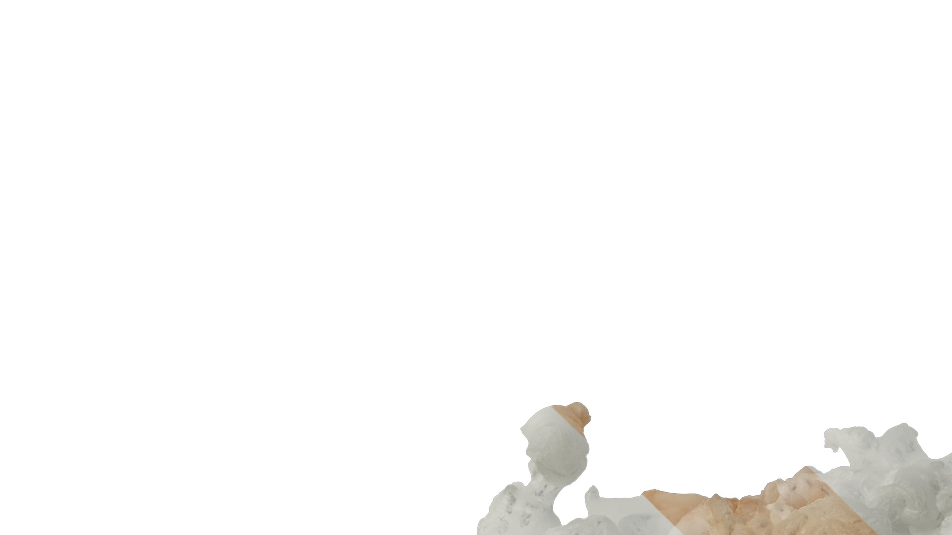 Anydrafts Lymph meat 01 Texture_1