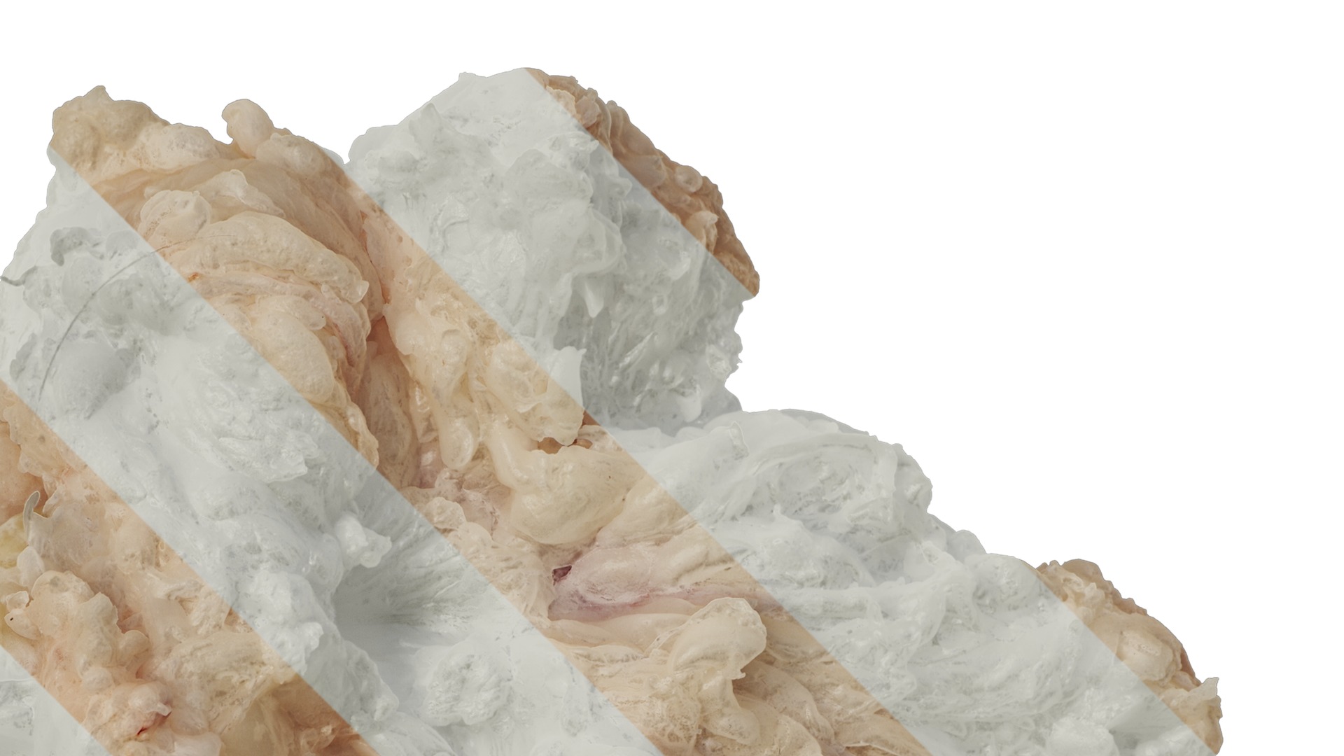 Anydrafts Lymph meat 01 Texture_2