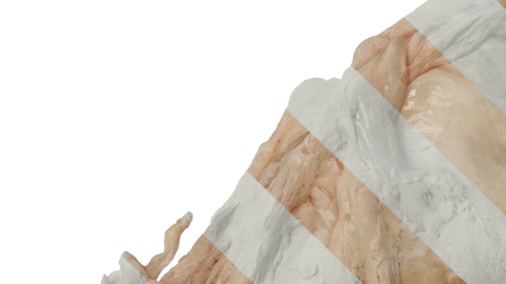 Anydrafts Lymph meat 02 Texture_1