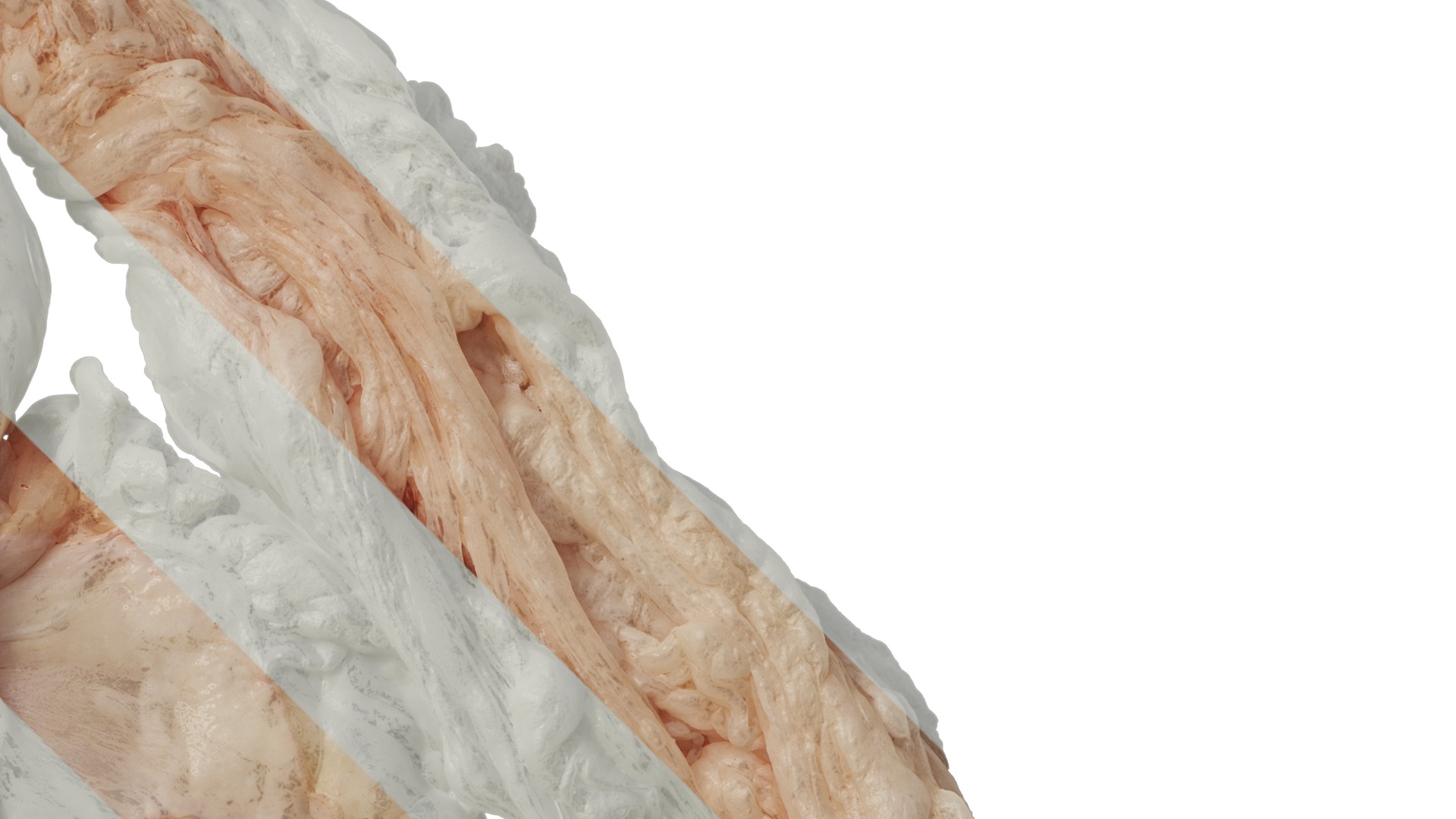 Anydrafts Lymph meat 02 Texture_2