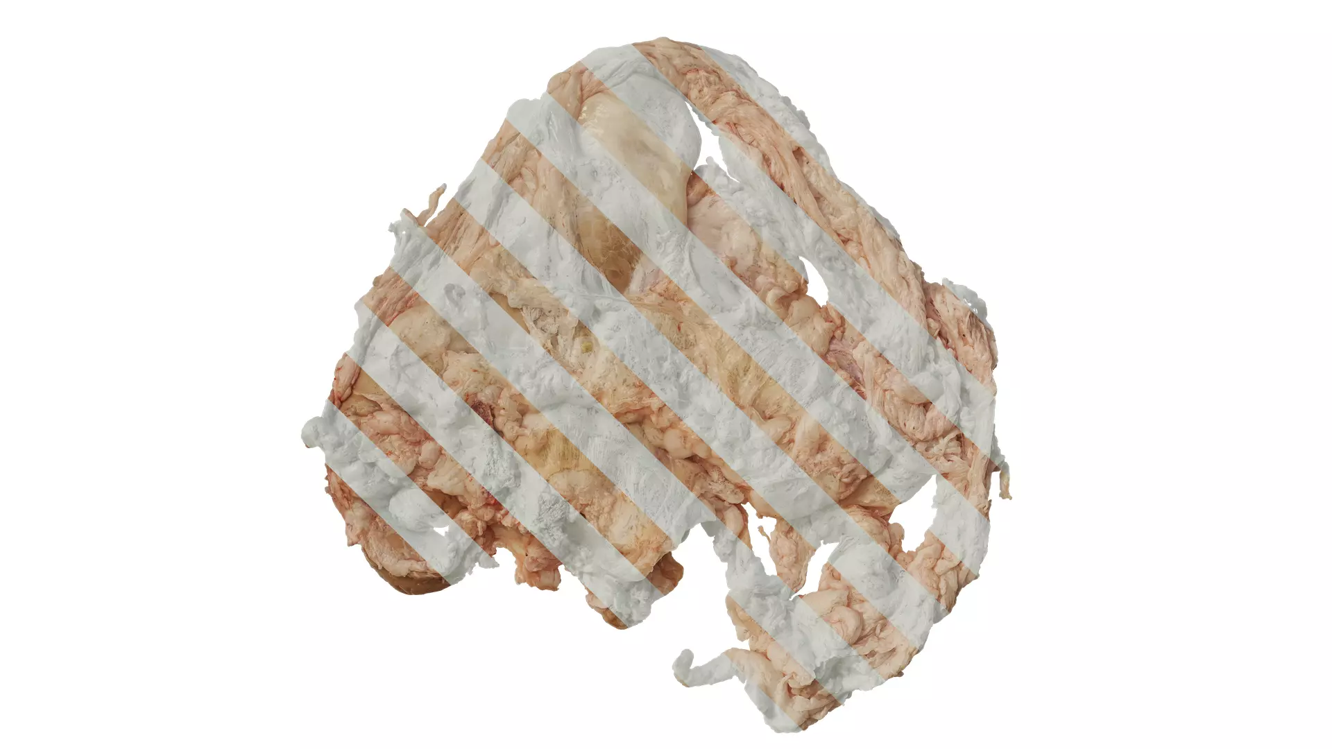 Anydrafts Lymph meat 02 Texture_0