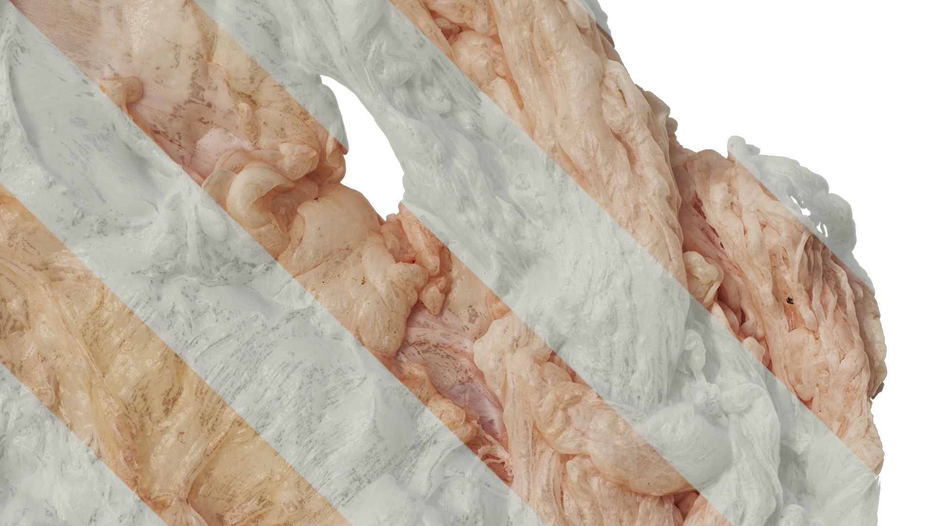 Anydrafts Lymph meat 02 Texture_4