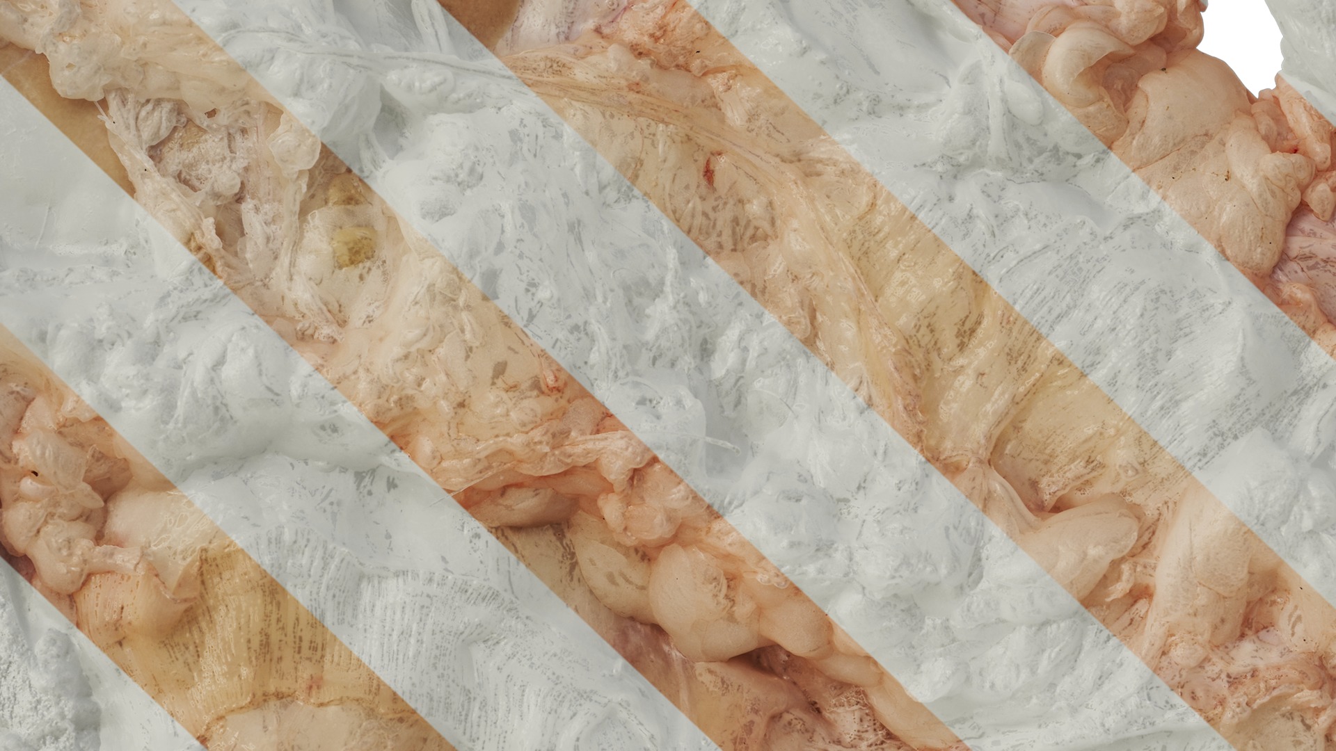 Anydrafts Lymph meat 02 Texture_7