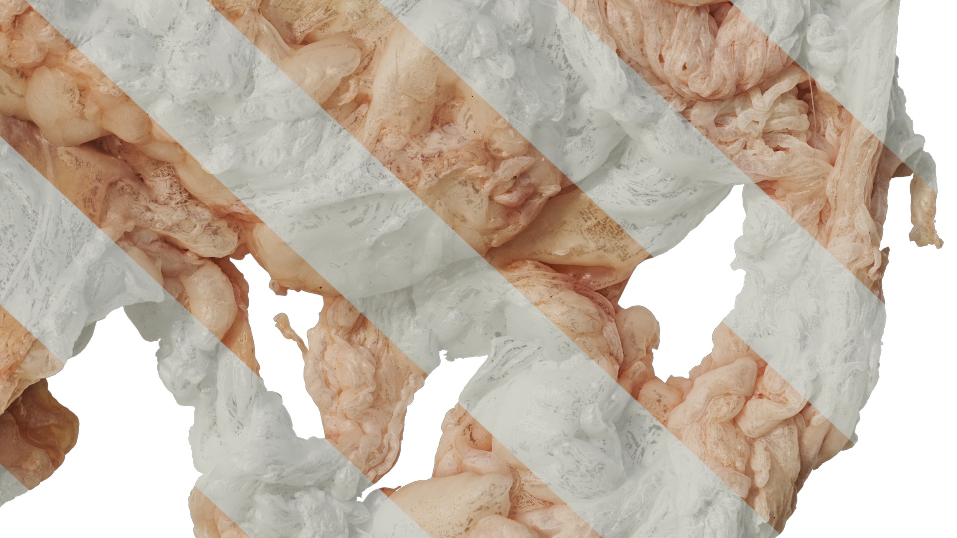 Anydrafts Lymph meat 02 Texture_6