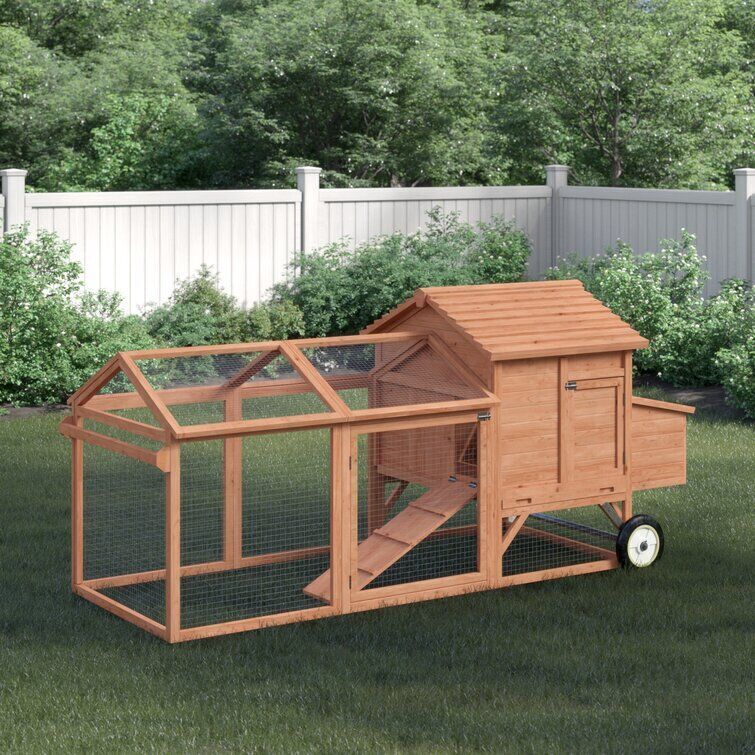 Bayer Feet Chicken Coop -Chicken Run 3D model_4