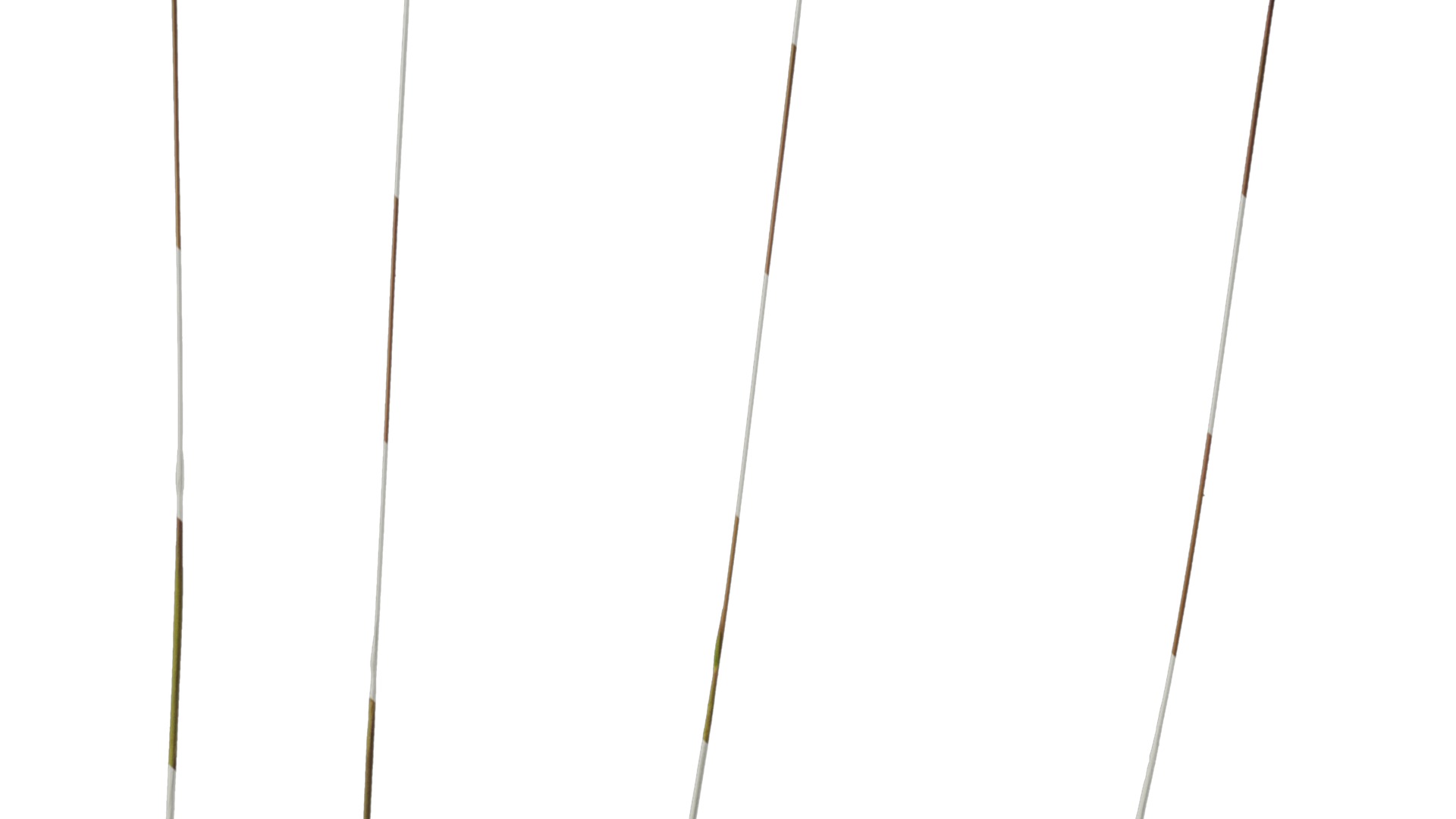 Anydrafts Imperata cylindrica Flower 02 Texture_7