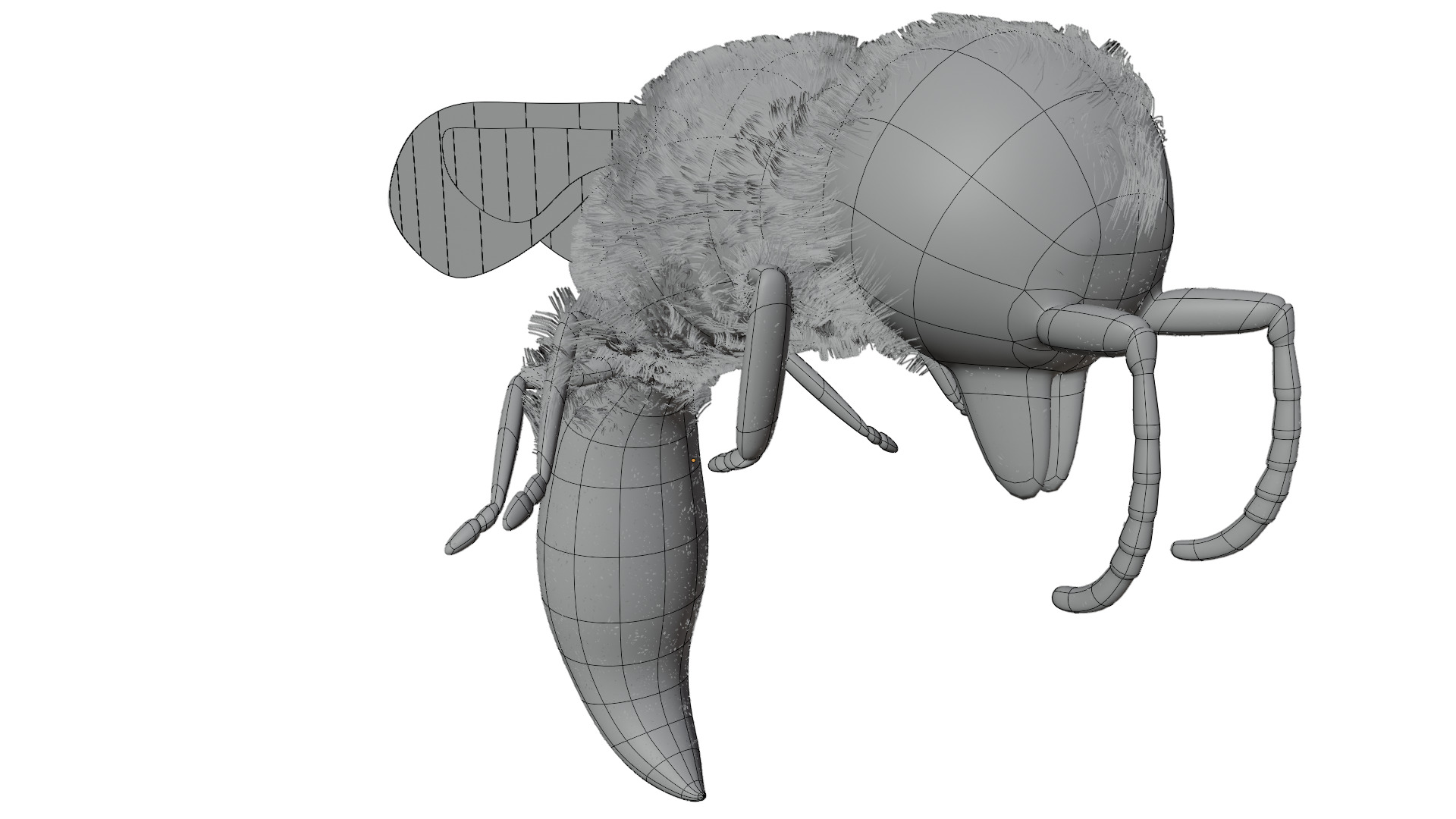 Wasp Rigged 3D model_15