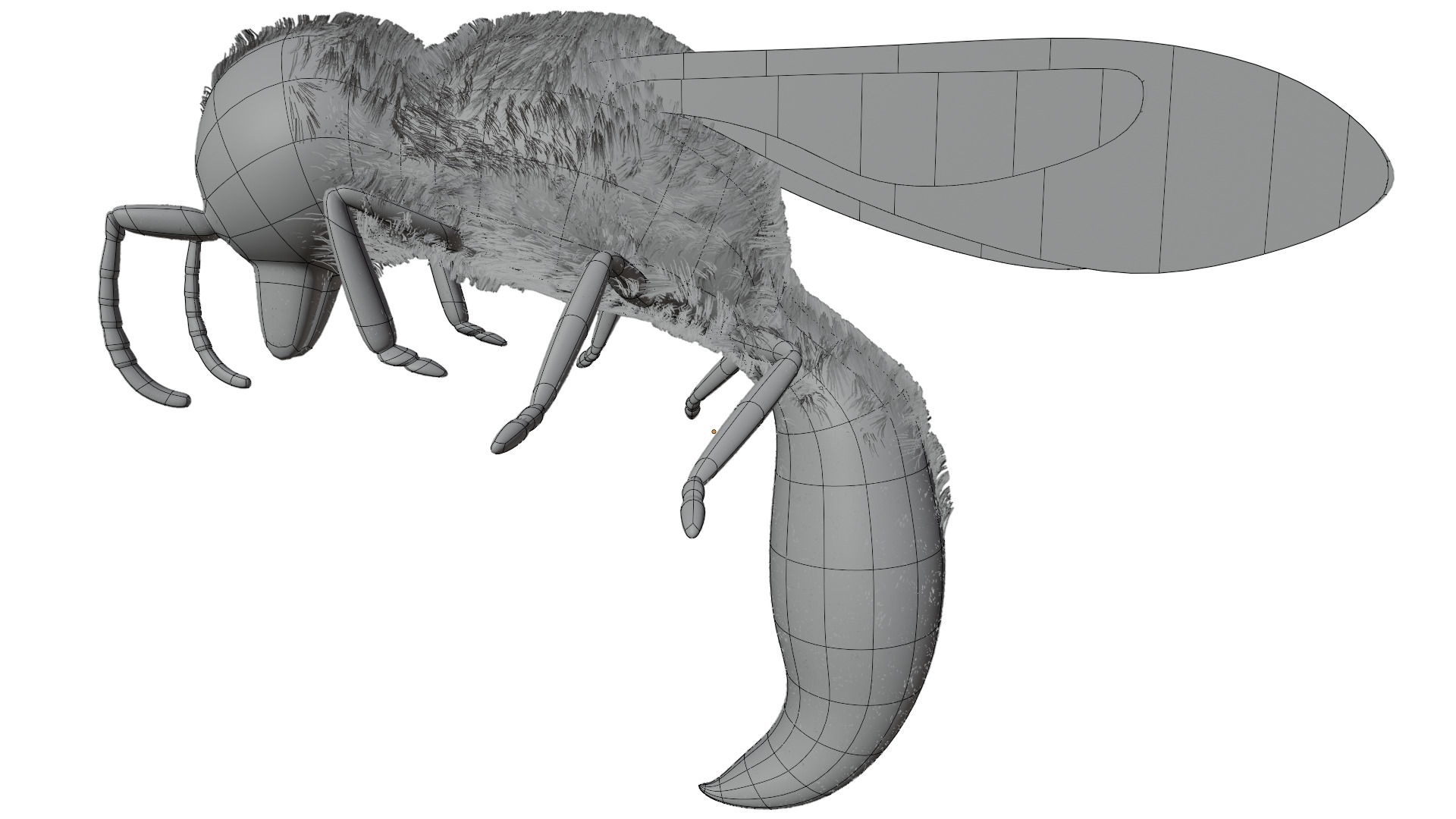 Wasp Rigged 3D model_10