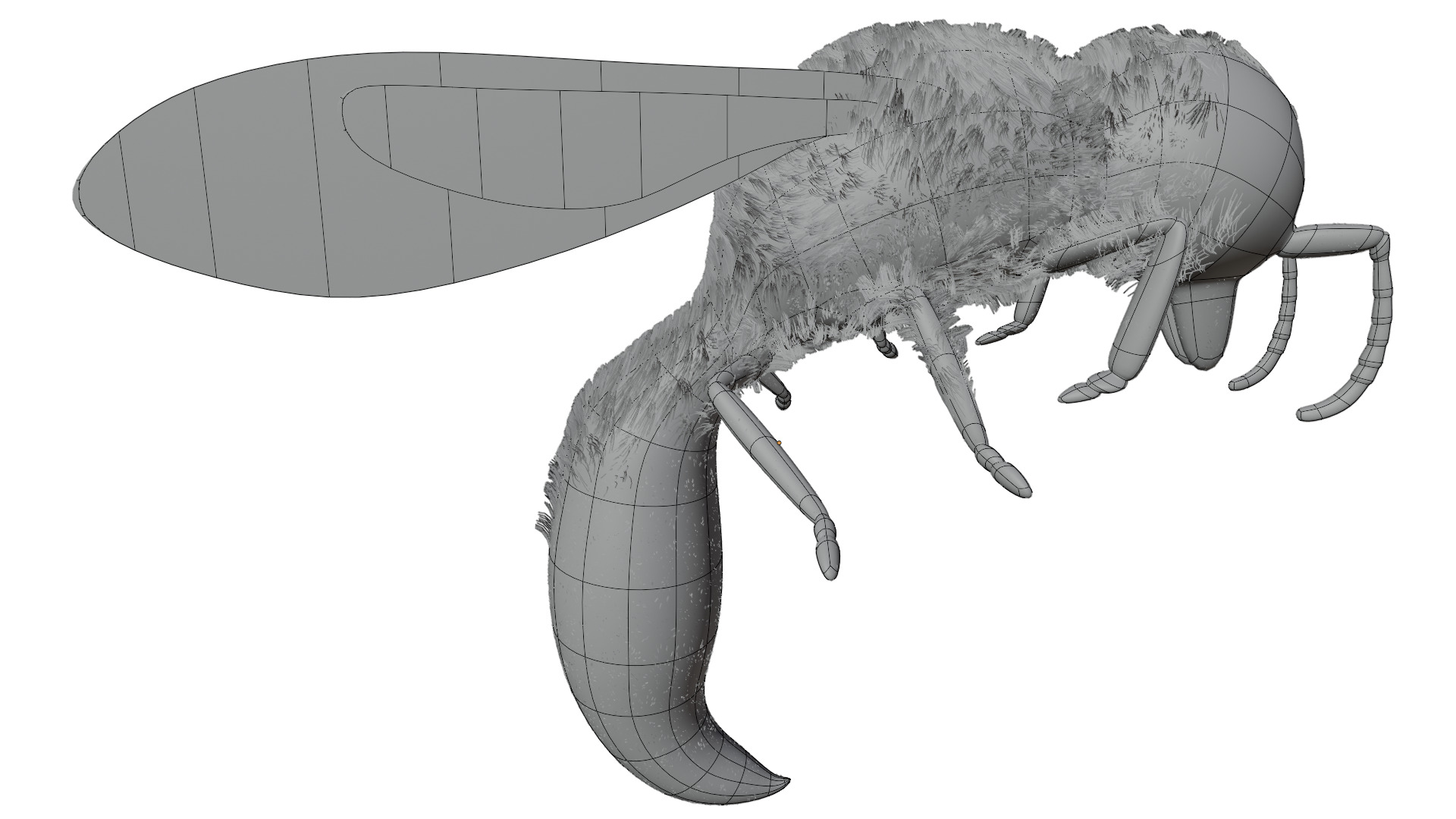 Wasp Rigged 3D model_14