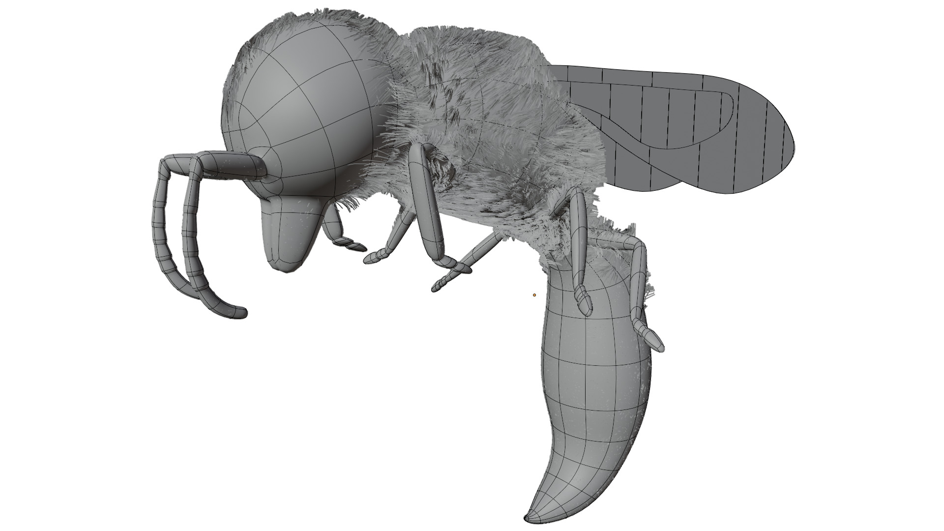 Wasp Rigged 3D model_9
