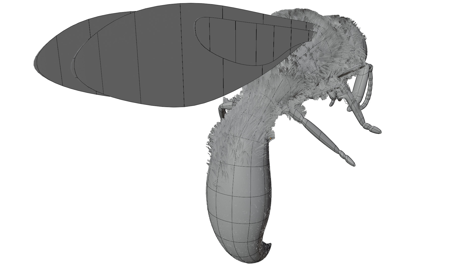 Wasp Rigged 3D model_13