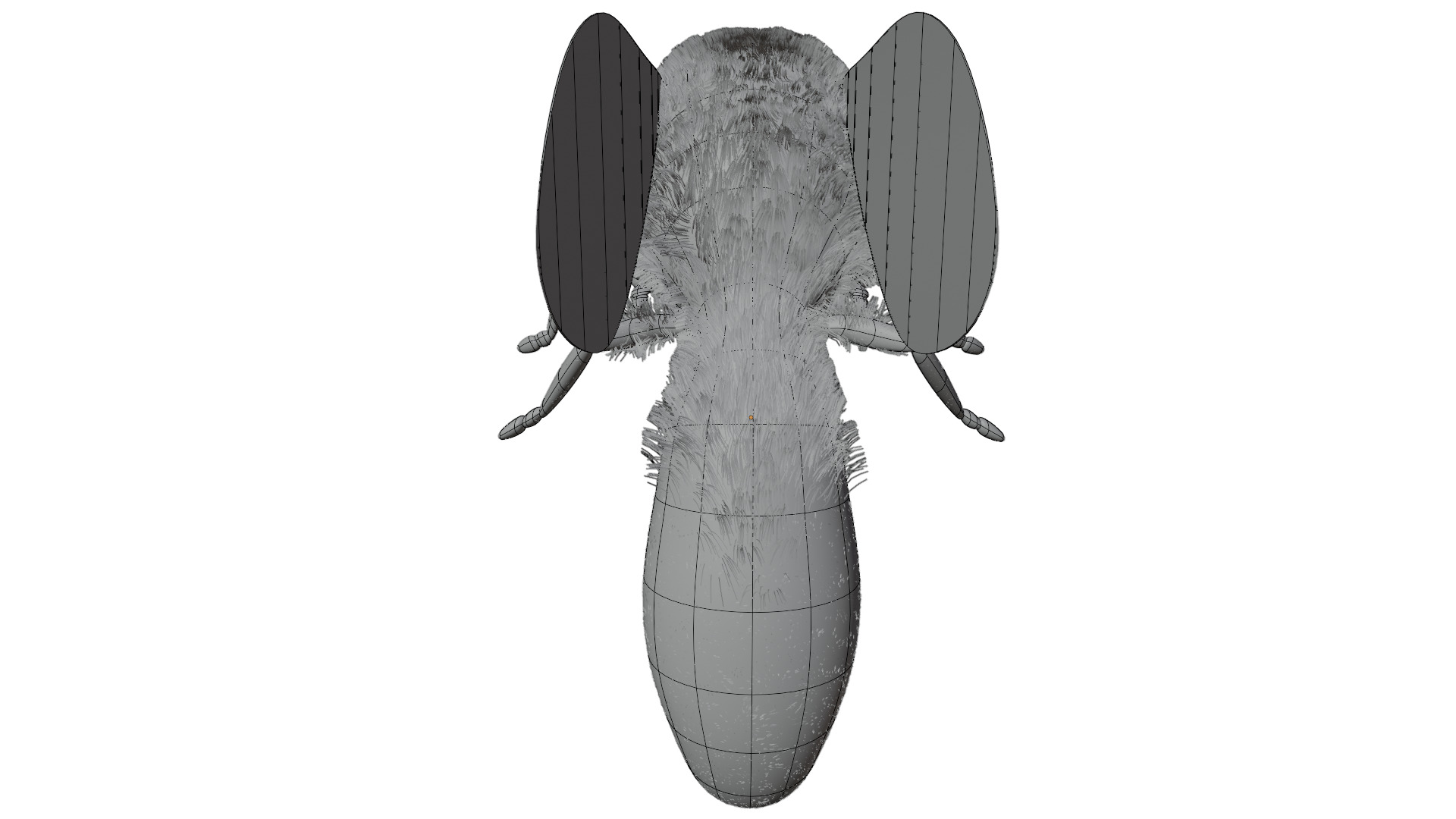 Wasp Rigged 3D model_12