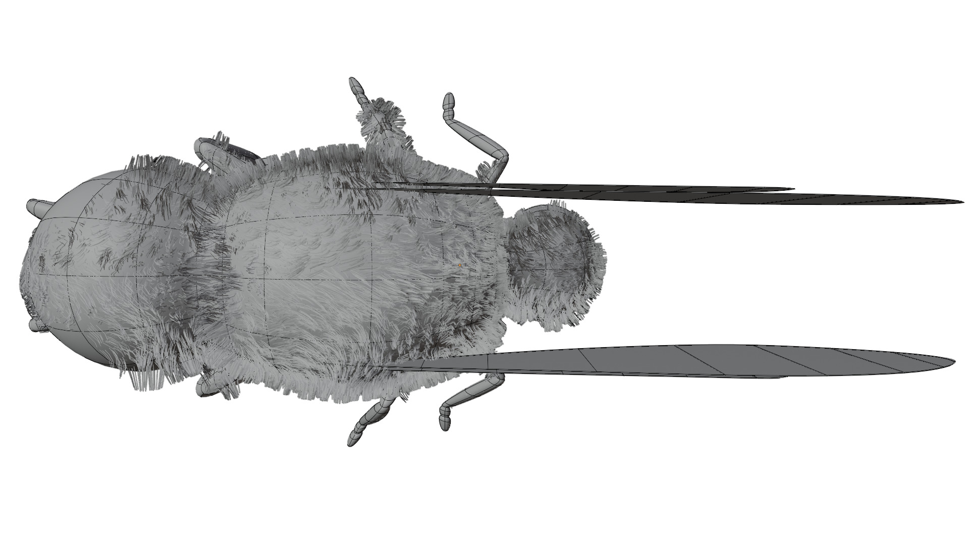 Wasp Rigged 3D model_17