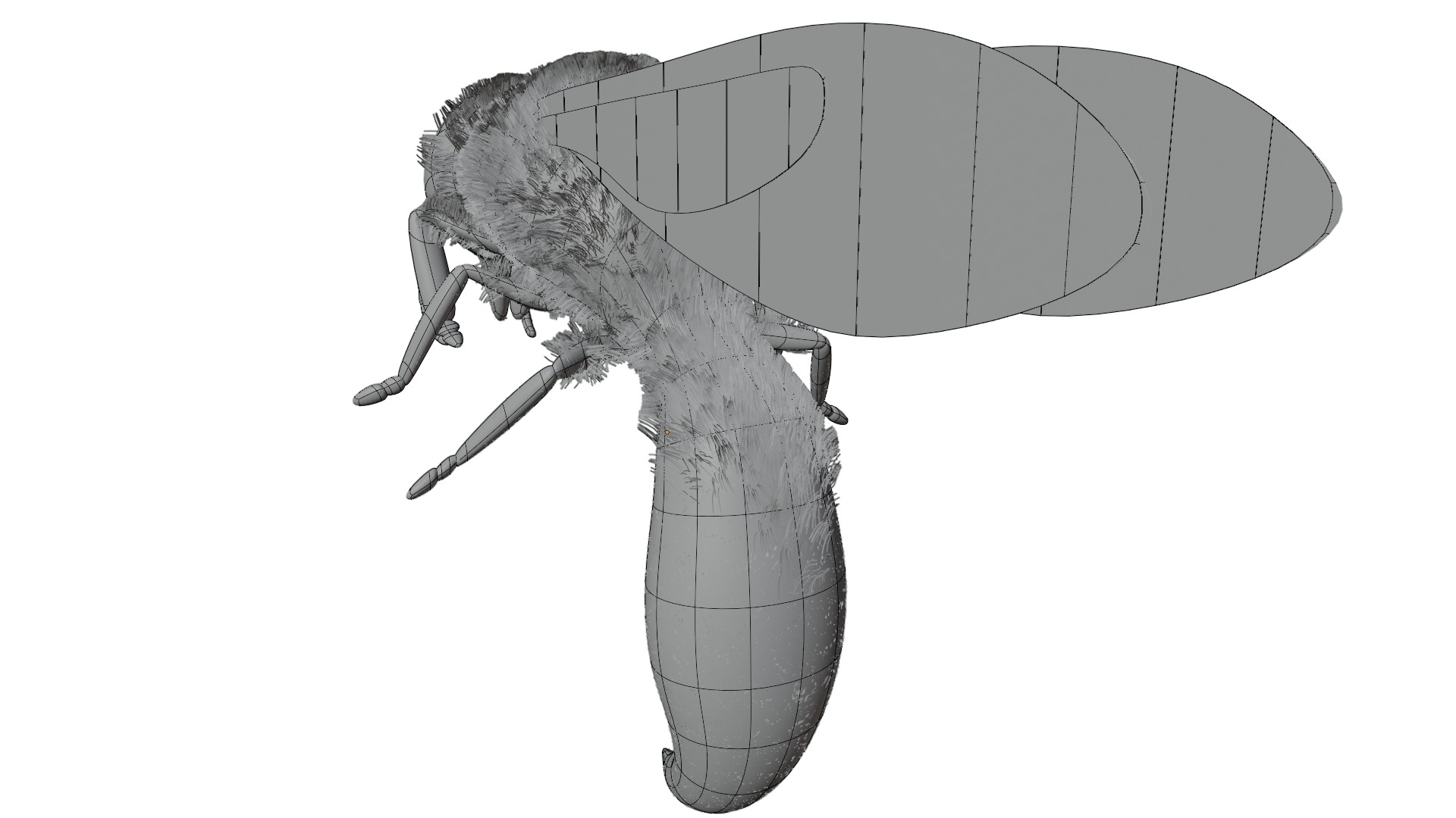 Wasp Rigged 3D model_11
