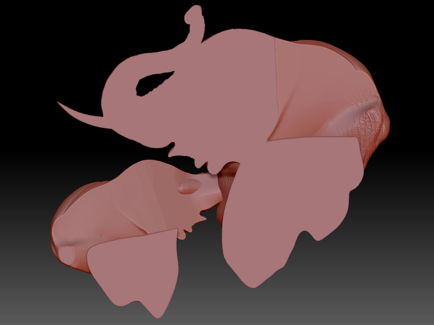 Elephants 3D print model_2