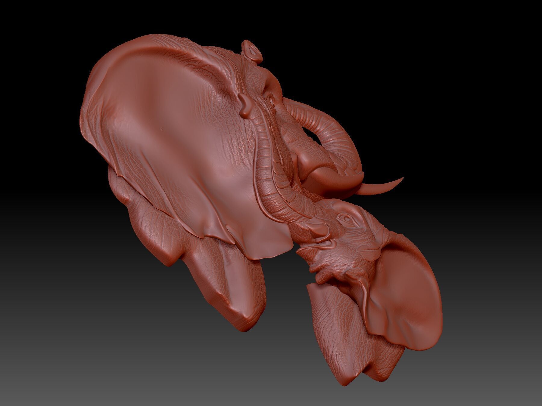Elephants 3D print model_4