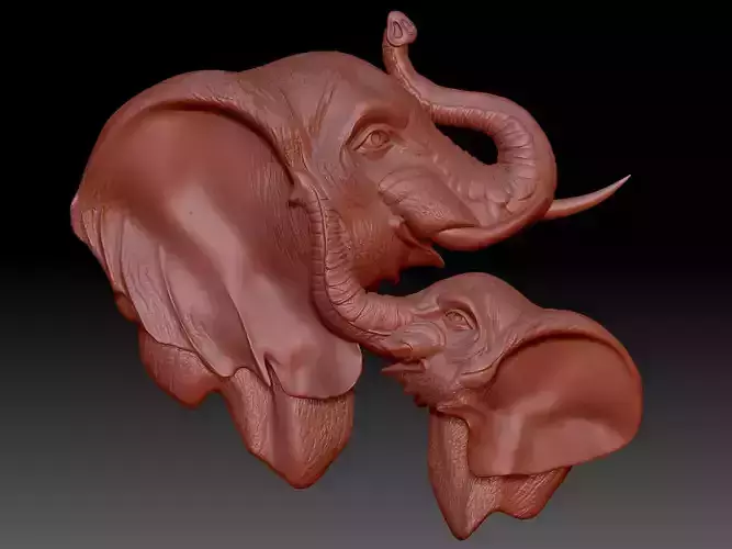 Elephants