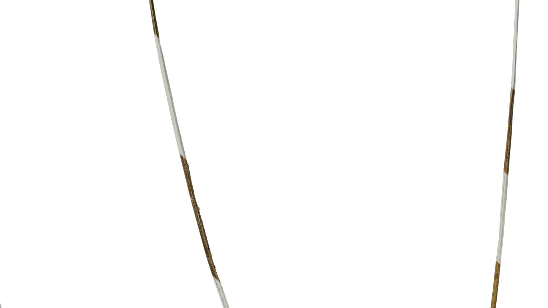 Anydrafts Cyperus iria Atlas 01 Texture_6