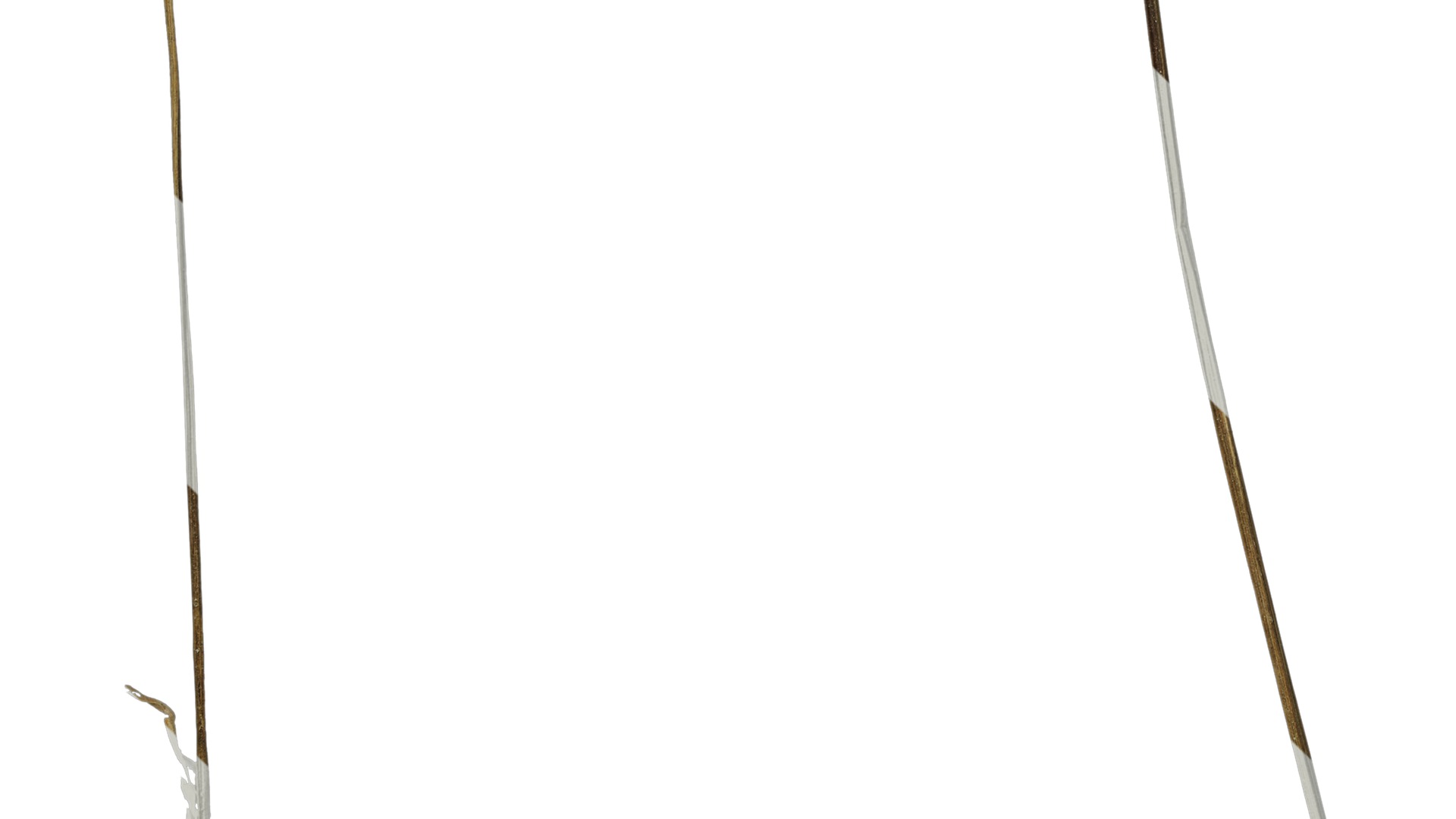 Anydrafts Cyperus iria Atlas 01 Texture_5