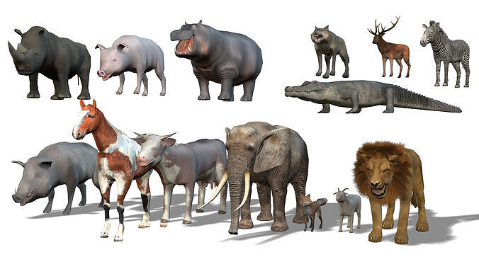 Animals Pack - Low Poly Collection with Textures Low-poly 3D model