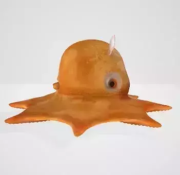 Flapjack octopus 3D model