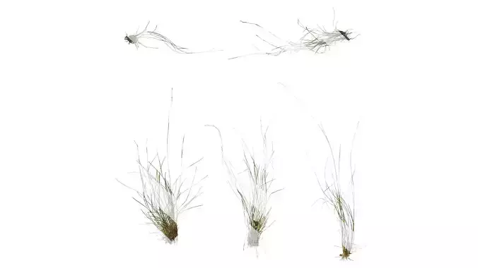 Anydrafts Grass 01 Atlas 01