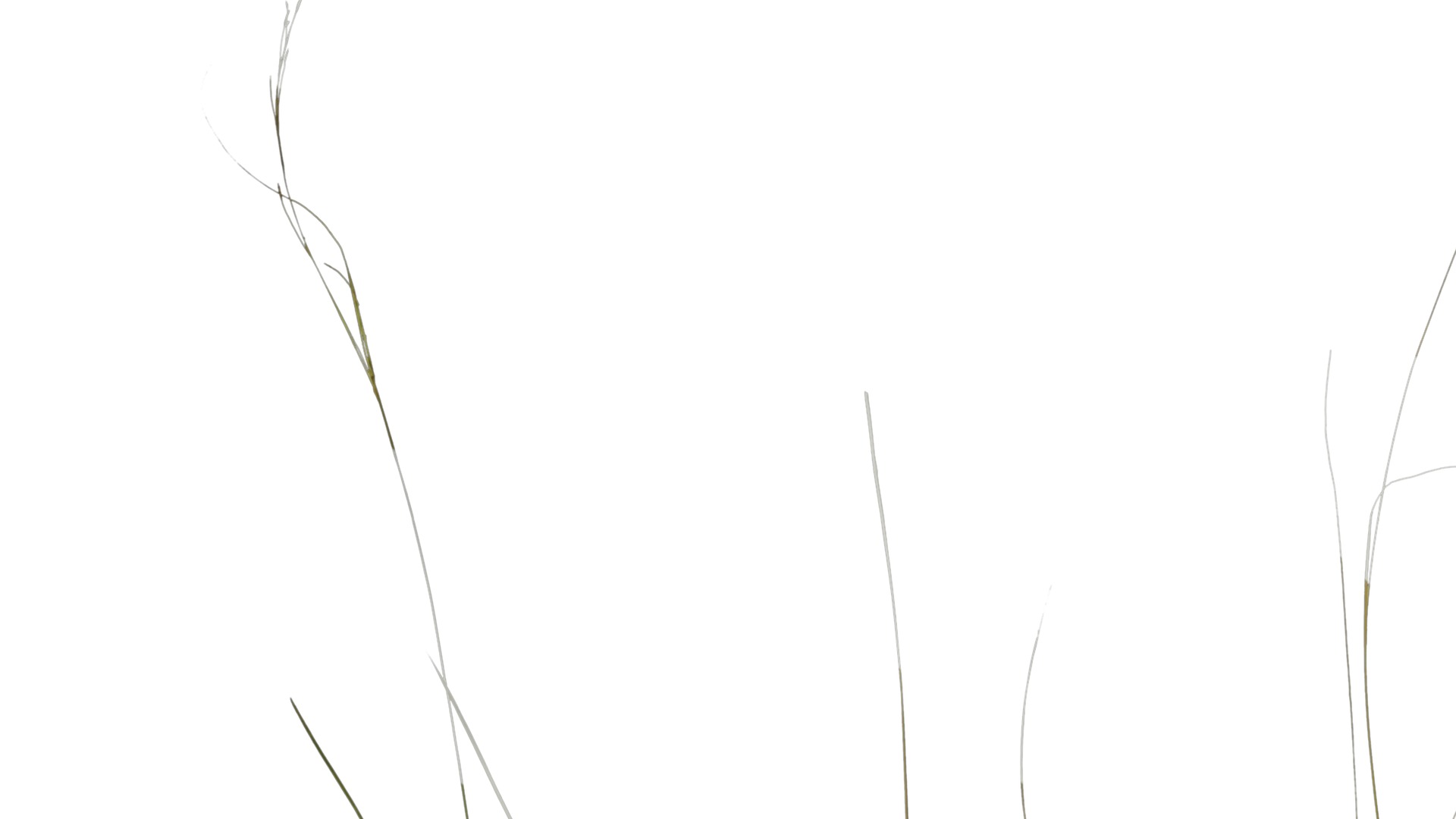 Anydrafts Grass 01 Atlas 02 Texture_7