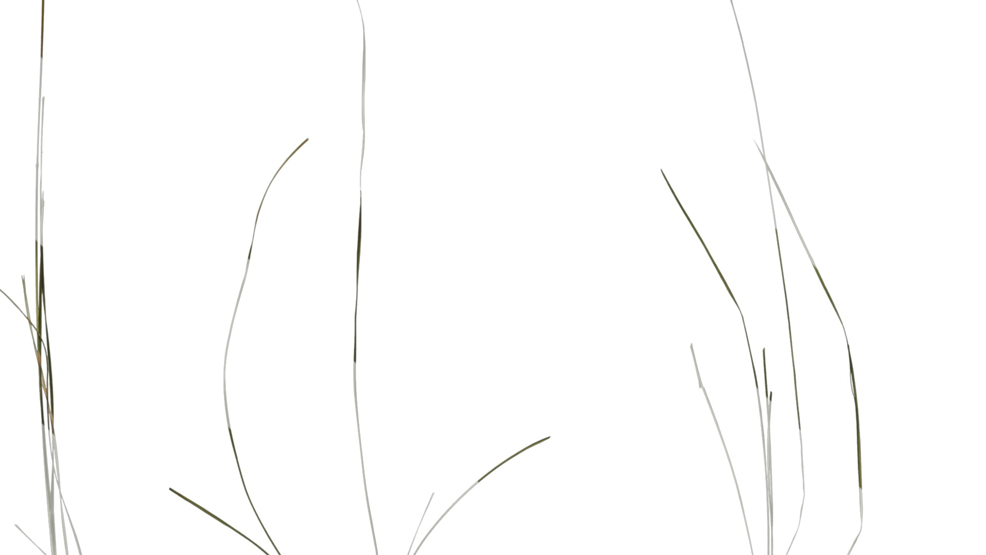 Anydrafts Grass 01 Atlas 02 Texture_5