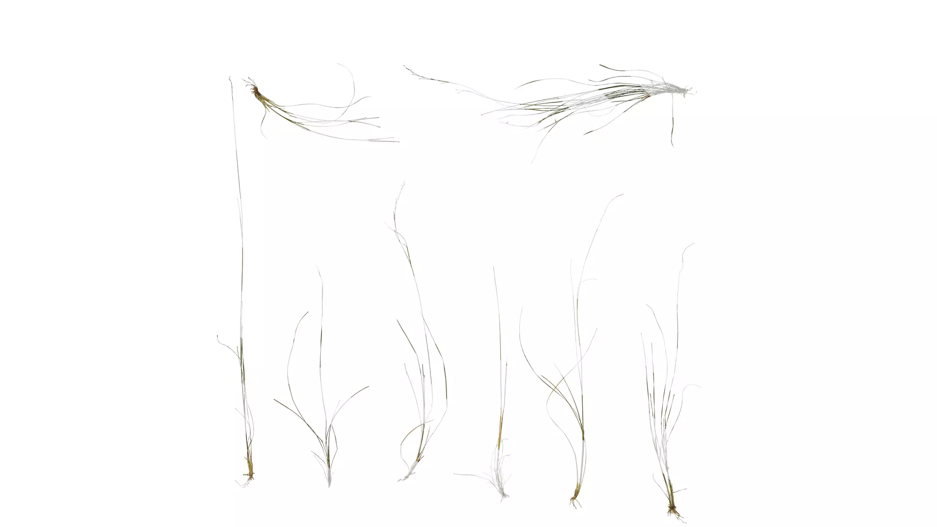 Anydrafts Grass 01 Atlas 02 Texture_0