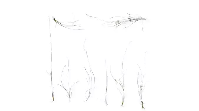 Anydrafts Grass 01 Atlas 02