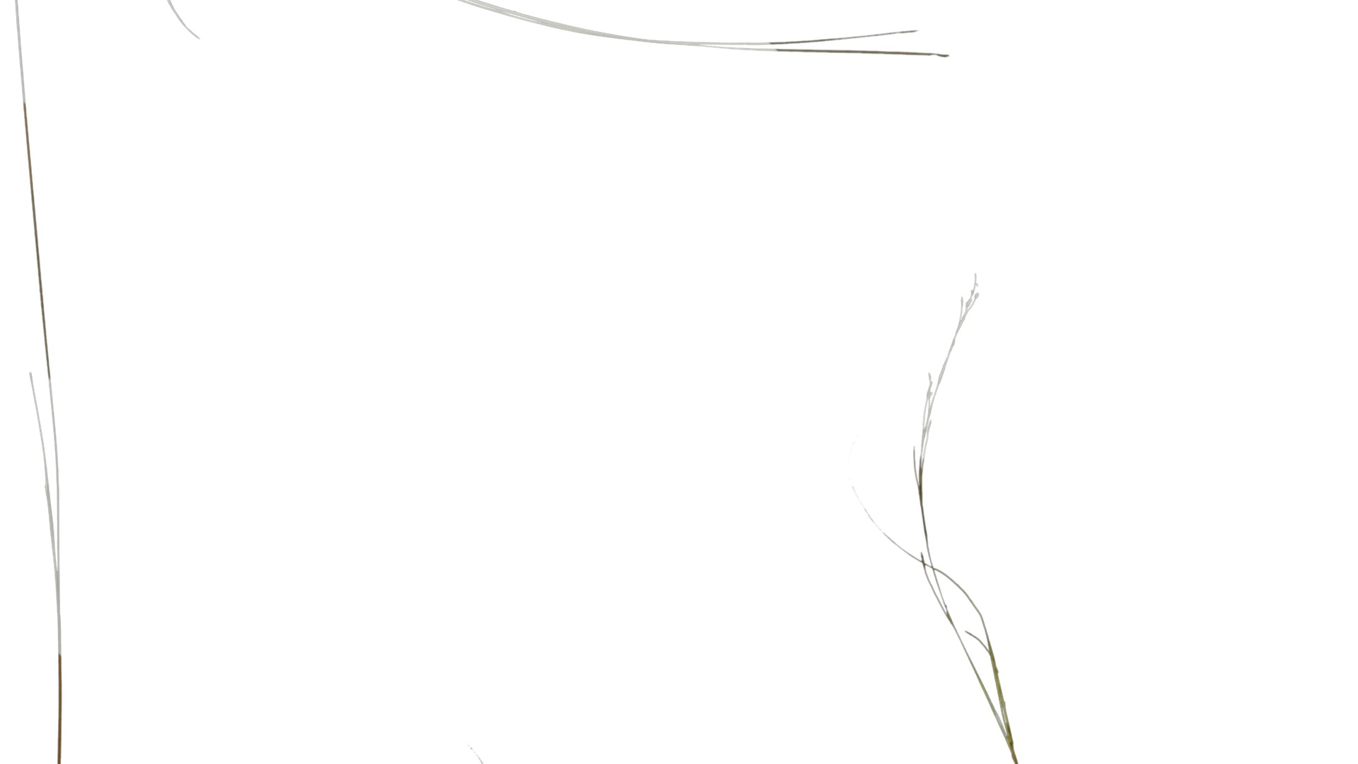 Anydrafts Grass 01 Atlas 02 Texture_3