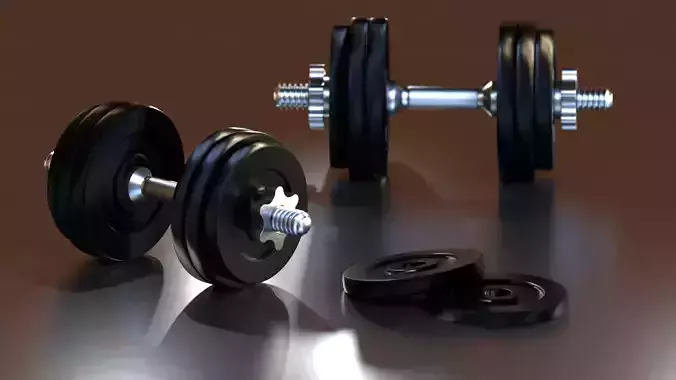 Adjustable Iron Dumbbells 3D model