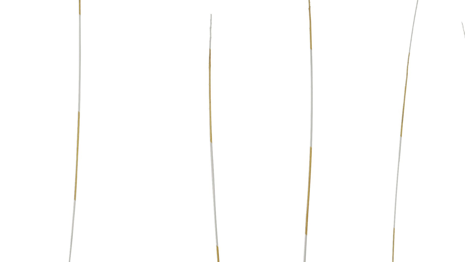 Anydrafts Setaria viridis Leaf 06 Texture_1