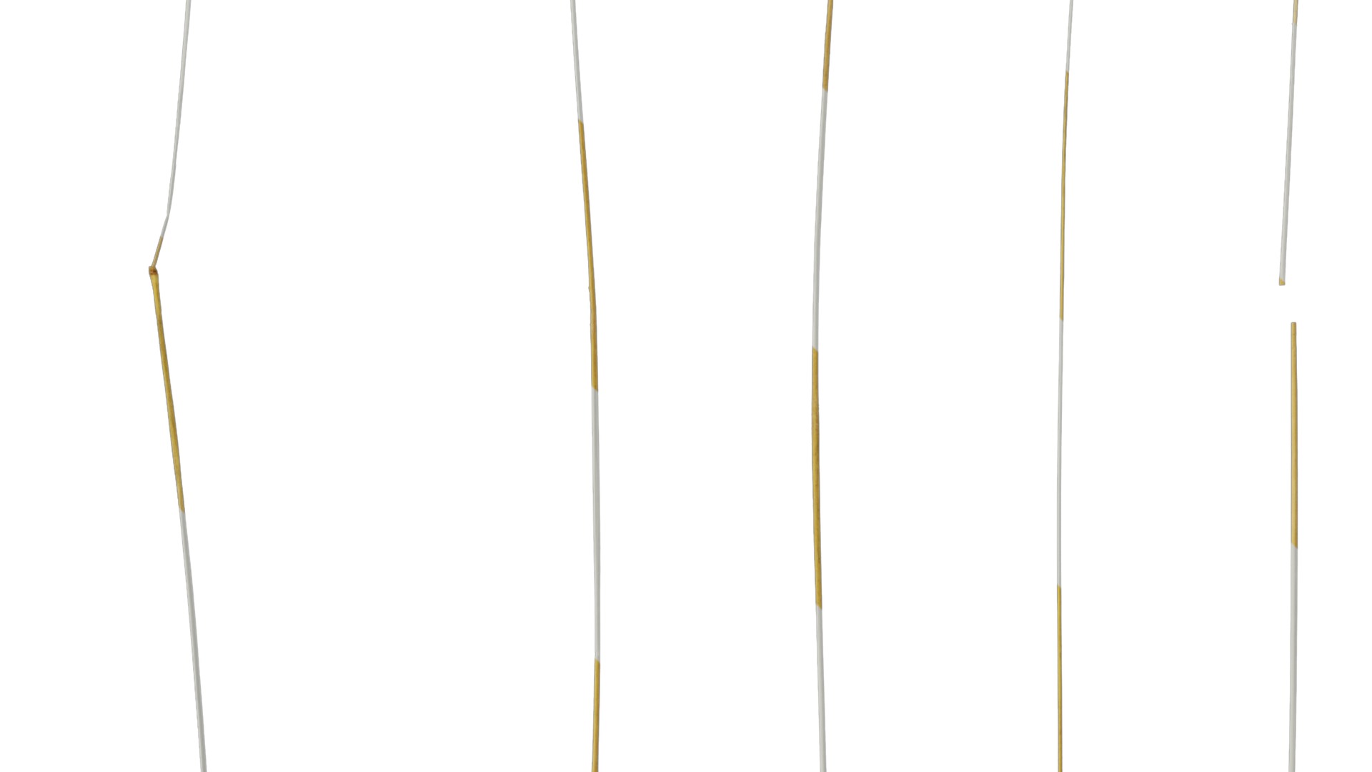 Anydrafts Setaria viridis Leaf 06 Texture_3