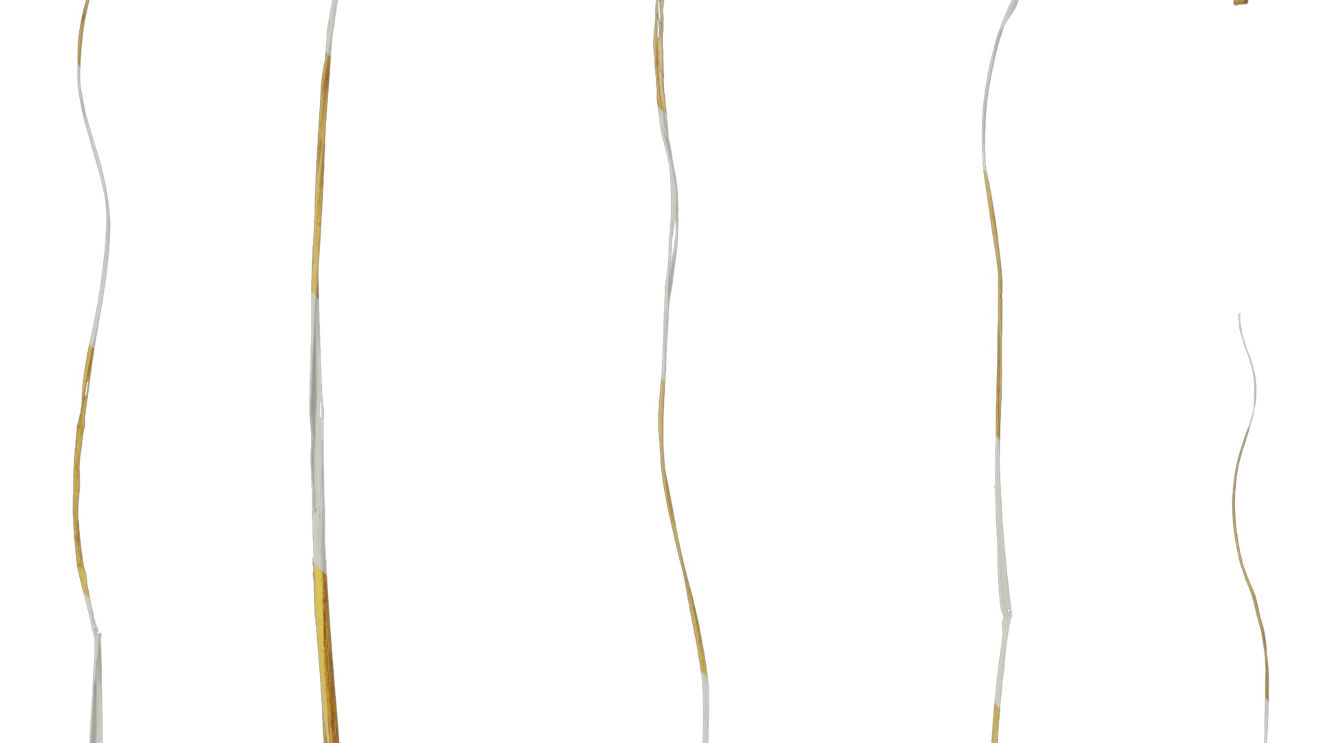 Anydrafts Setaria viridis Leaf 06 Texture_4