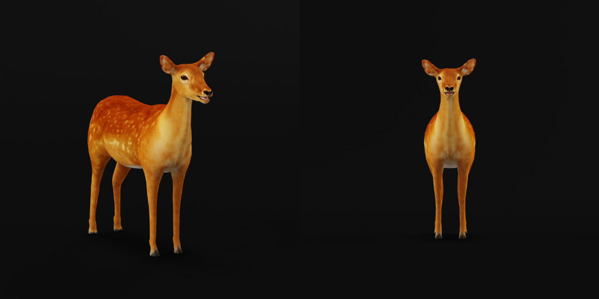 Female Fallow Deer Low-poly 3D model_32