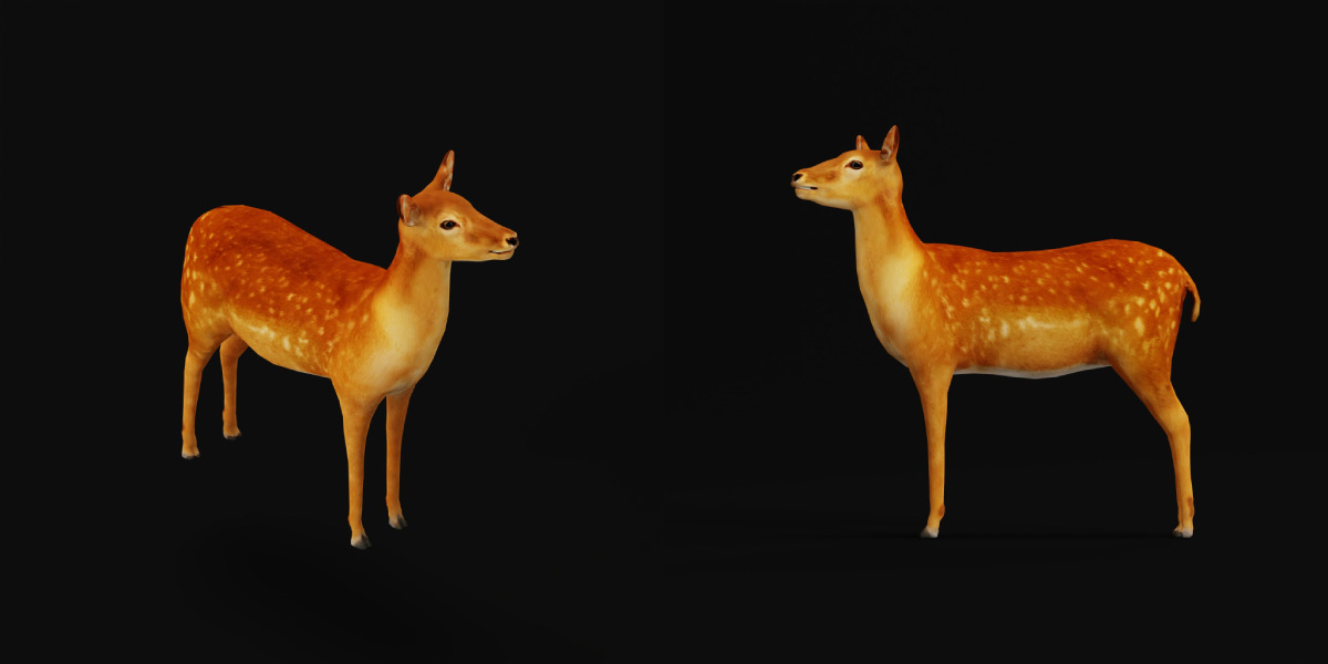 Female Fallow Deer Low-poly 3D model_7