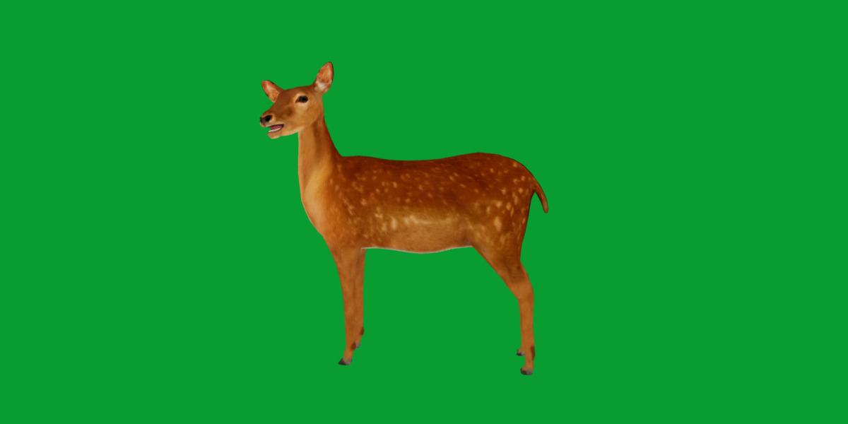 Female Fallow Deer Low-poly 3D model_27