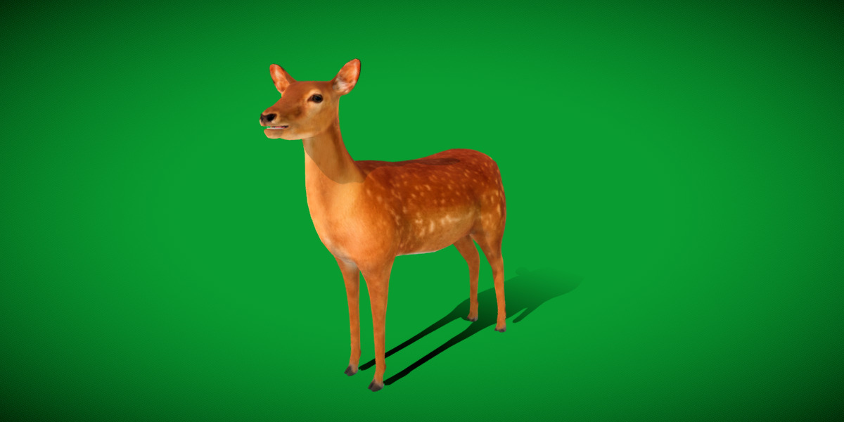 Female Fallow Deer Low-poly 3D model_5