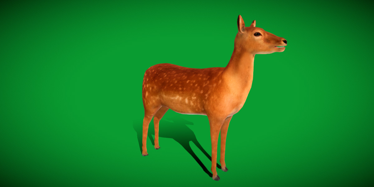 Female Fallow Deer Low-poly 3D model_26