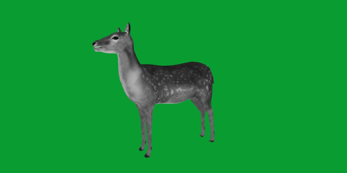 Female Fallow Deer Low-poly 3D model_9