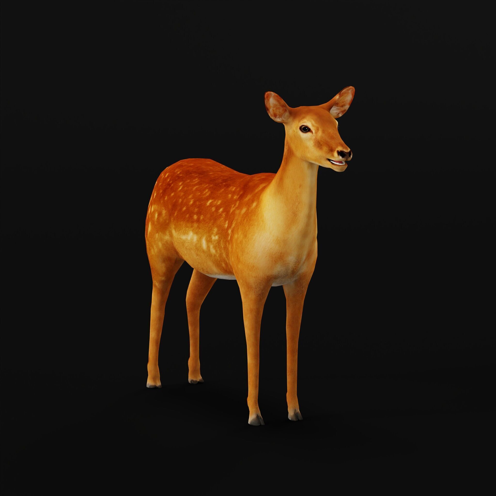 Female Fallow Deer Low-poly 3D model_41