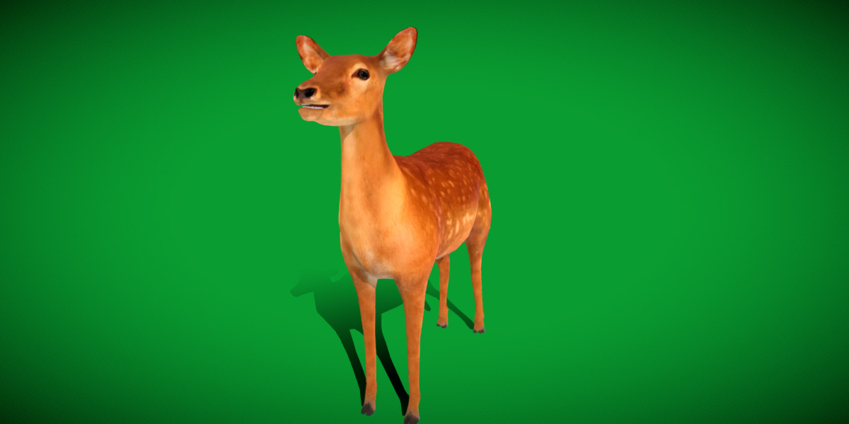 Female Fallow Deer Low-poly 3D model_21