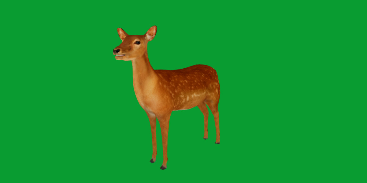 Female Fallow Deer Low-poly 3D model_16