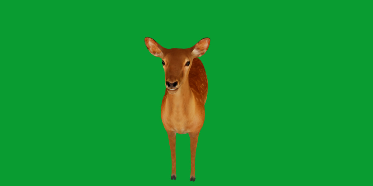 Female Fallow Deer Low-poly 3D model_20