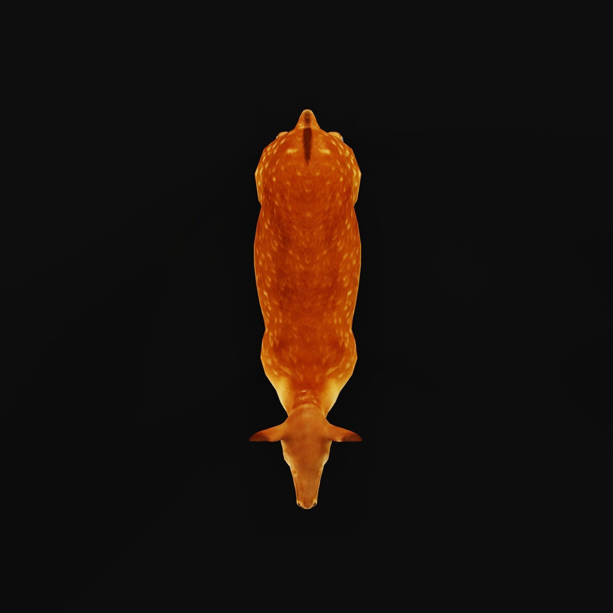 Female Fallow Deer Low-poly 3D model_45