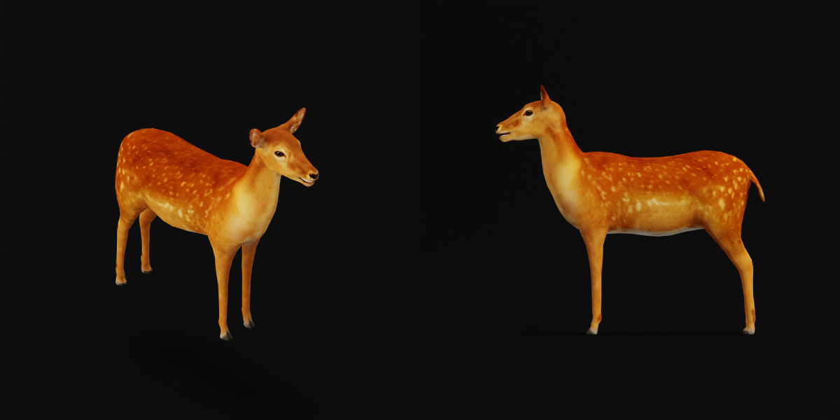 Female Fallow Deer Low-poly 3D model_6
